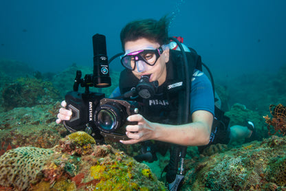 The Divevolk Seatouch 4 Max Macro Kit paired with a SeaLight SL20 2000 Lumen video light is perfect for filming and photographing small subjects when SCUBA diving with your phone